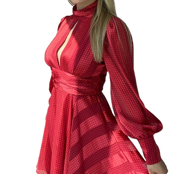 Alexis Dresses & Skirts - Alexis Silk Mini. Never worn, excellent condition!